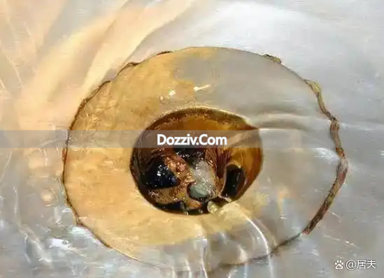 Oil clogged kitchen sewers_Solutions to clogged kitchen sewers during the Spring Festival_Techniques for unblocking sewers with dishwashing liquid and white vinegar