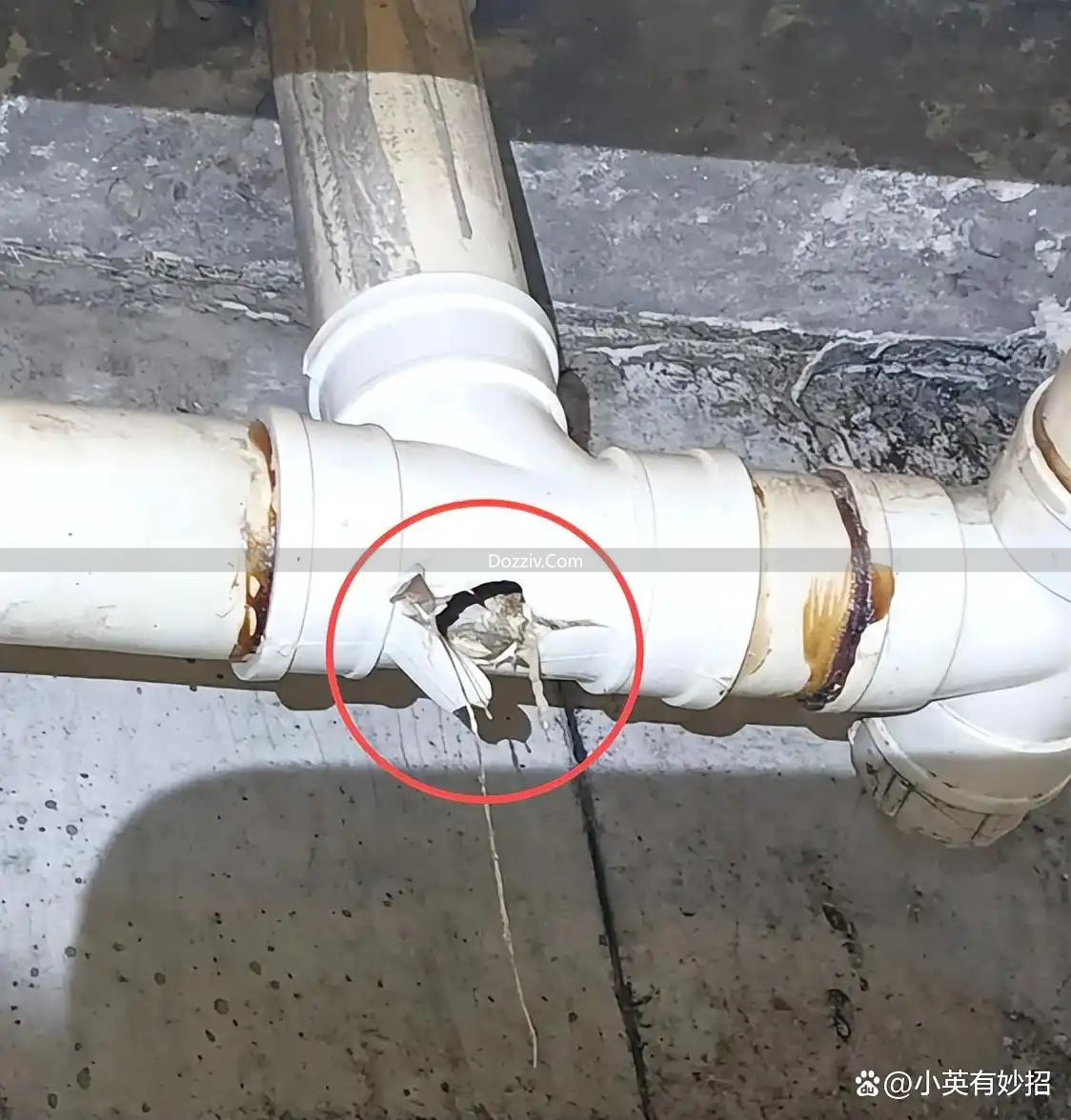 Kitchen sewer oil clogged_Kitchen oil clogged_Natural unblocking tips