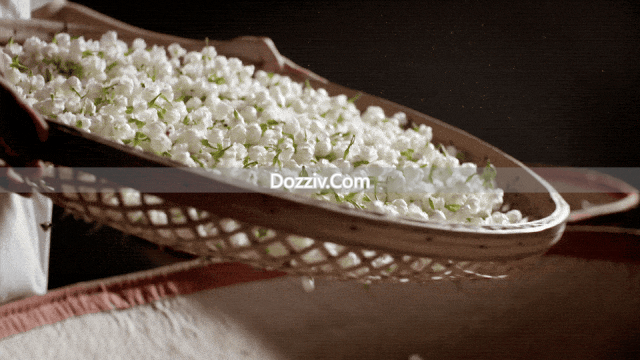 Traditional Chinese Medicine Healthy Tea Drinks_A Complete Collection of Four Seasons Healthy Tea Drinks_A Guide to Drinking Tea in Four Seasons